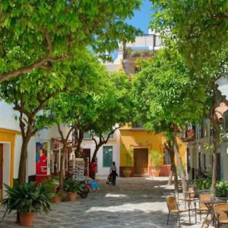 Beautiful Ap 3 Bedroom 6px Center Refurbished19 Apartment Seville